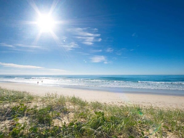 Ein Strand mit Sand, Gras und dem Meer.