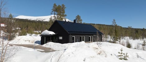 Ulkopuoli