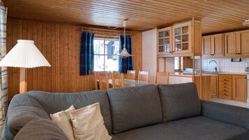 Fernseher, Kamin