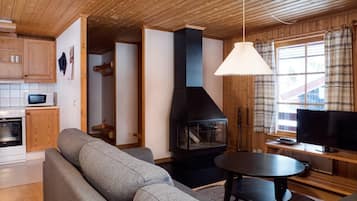 Fernseher, Kamin