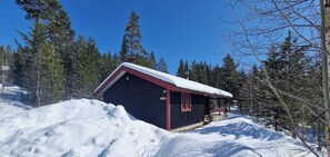 A small, dark-colored cabin with a red roof and a snow-covered porch, surrounded by trees and a snowy landscape.
