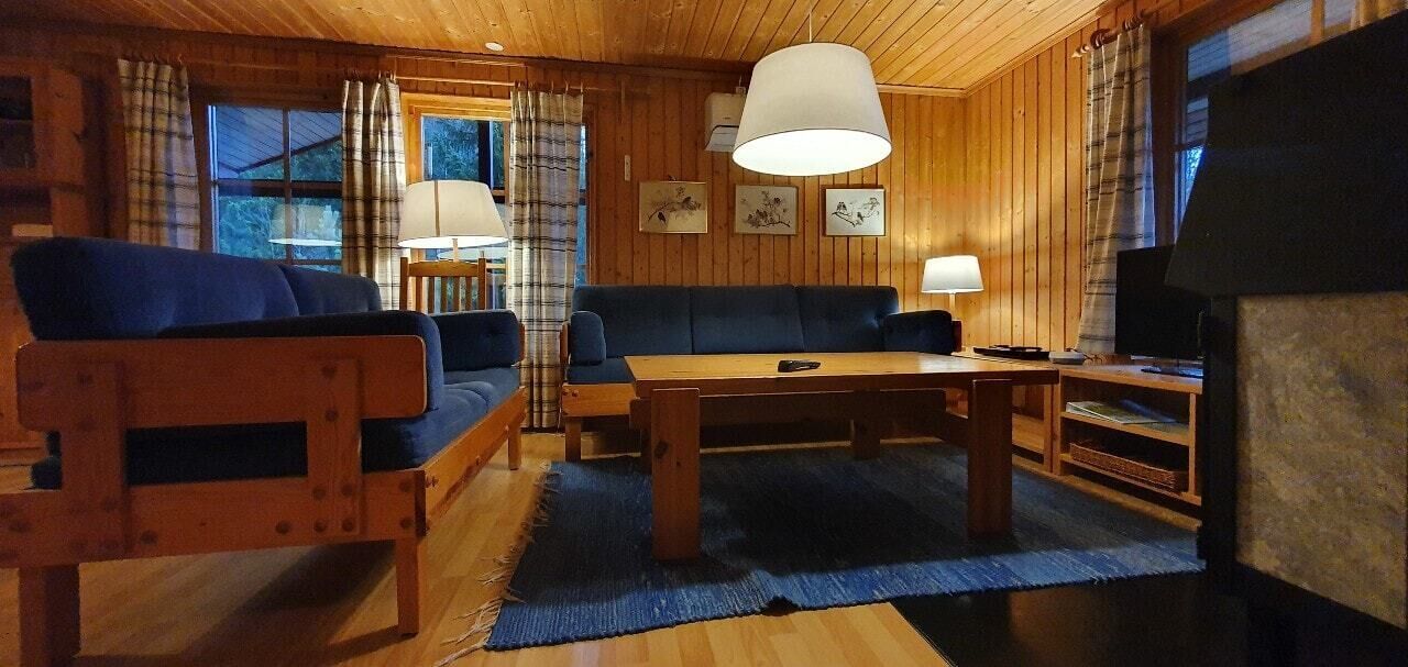 Fernseher, Kamin