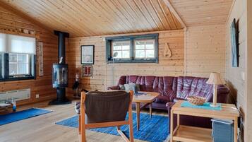Fernseher, Kamin