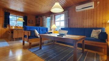 Fernseher, Kamin