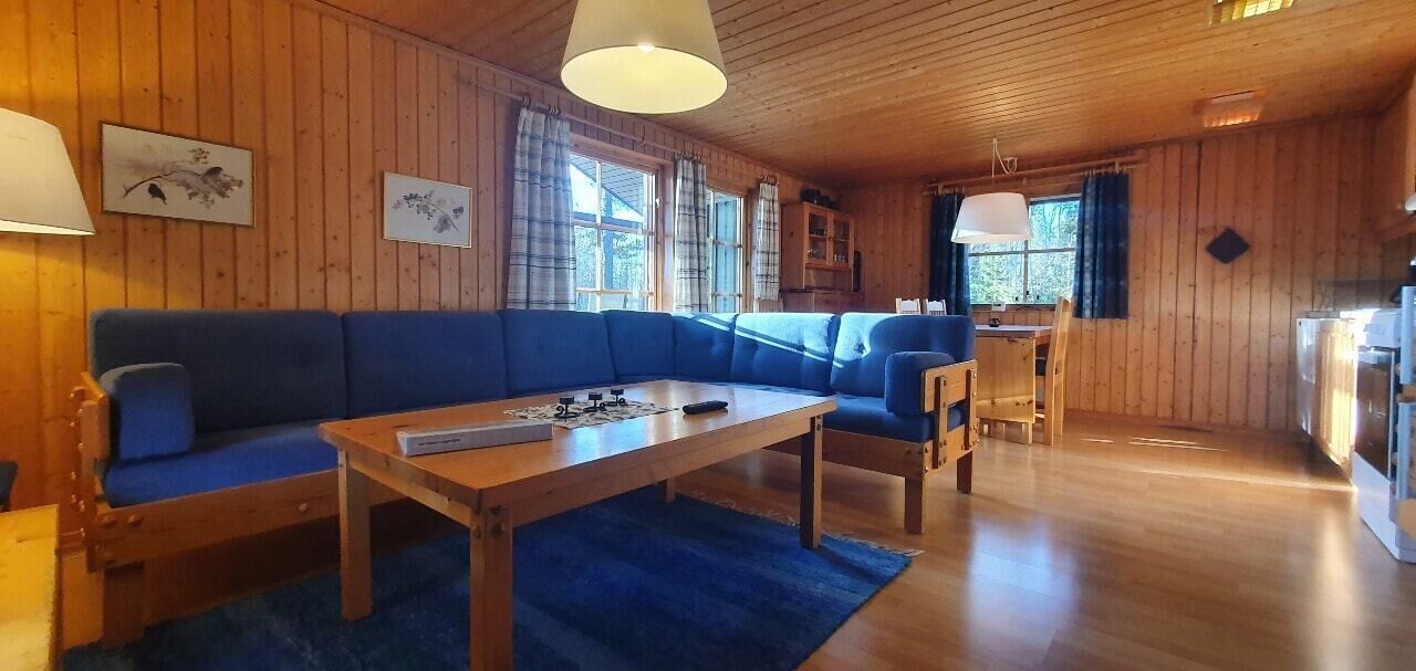 Fernseher, Kamin