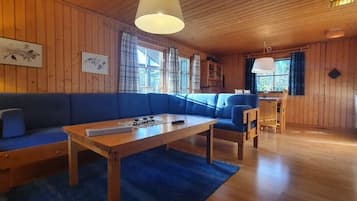 Fernseher, Kamin