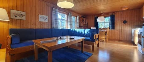 Fernseher, Kamin