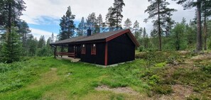 Eine Hütte mit Veranda, umgeben von Wald.