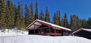 Eine Holzhütte mit rotem Dach, umgeben von Schnee und hohen Kiefern.