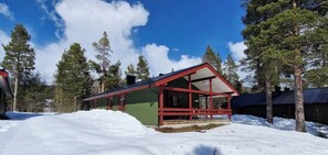 A cabin with a red roof and green siding, surrounded by snow and trees.