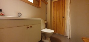 A bathroom with a toilet, a sink, and a shower area.
