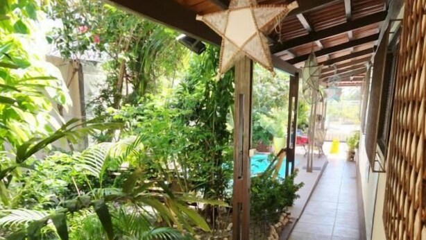 A covered walkway with a star decoration, surrounded by lush greenery and potted plants. - Pousada Flor Dália (Natal)