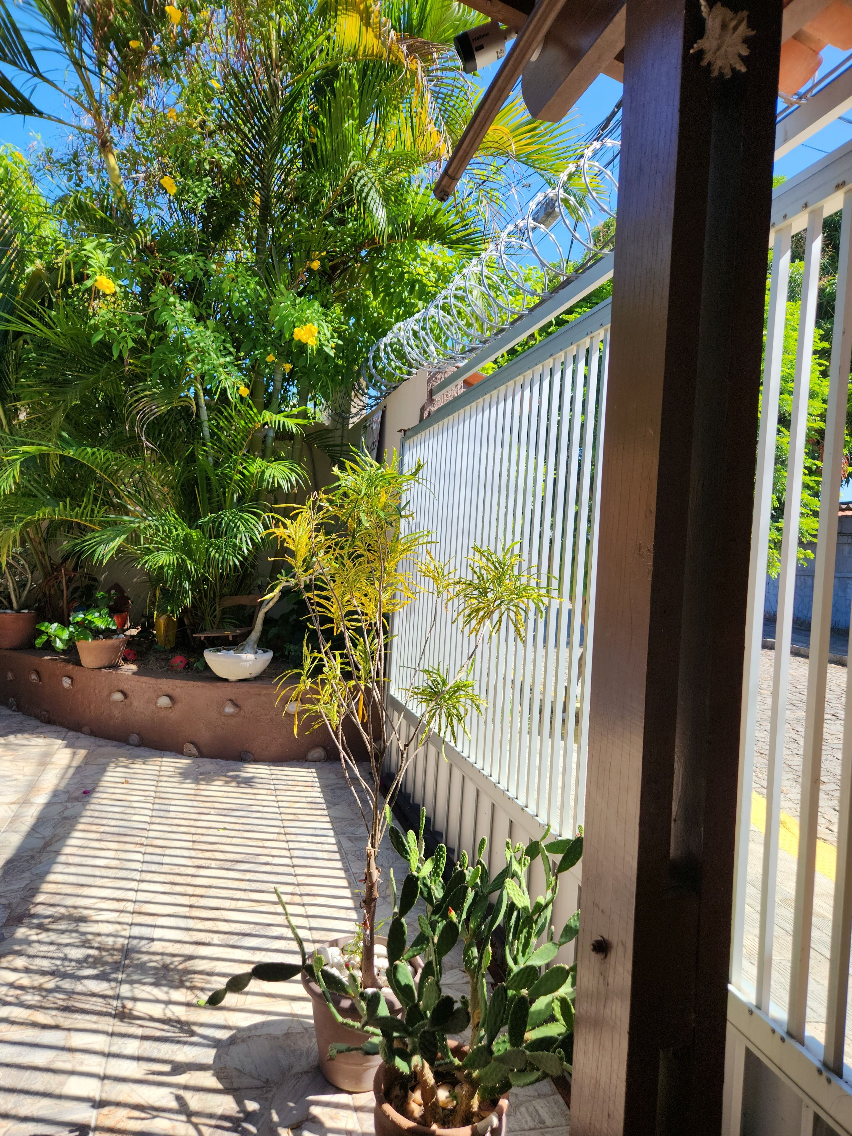 Terraço/pátio