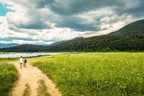 Un sendero de tierra que lleva a un lago, con una colina boscosa al fondo.