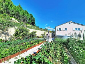 A residential building with a garden, a stone wall, and a clear blue sky. - Apartment Palma by Interhome (Stanići)