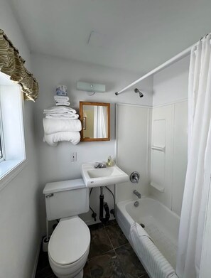 Une salle de bain équipée de toilettes, d’un lavabo, d’un miroir et d’une baignoire.