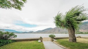 Un sendero que lleva a una zona junto al lago, con un árbol y un banco.