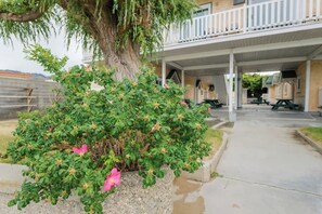 A building with a covered outdoor area, a tree, and a bush with pink flowers.