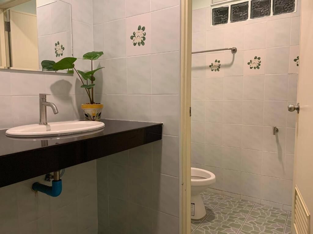 A bathroom with a sink, mirror, potted plant, and toilet.
