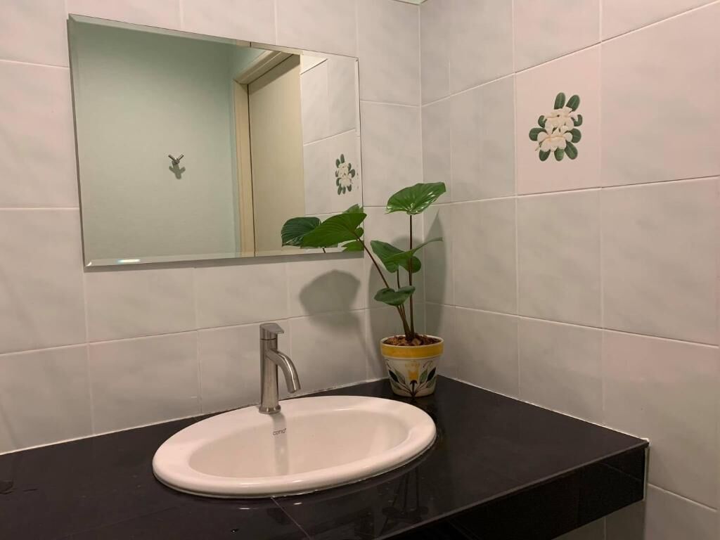 A bathroom with a white sink, a mirror, and a potted plant.