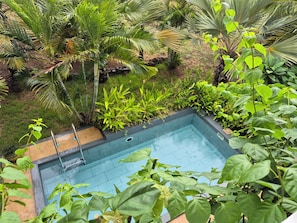 Ein rechteckiger Pool, umgeben von üppiger Vegetation und unterschiedlichen Pflanzen.