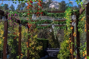 Un jardin agrémenté d’une pergola en bois, de plantes grimpantes, de bocaux en verre suspendus et d’un élément décoratif aquatique.
