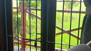 Une vue à travers une fenêtre grillagée, donnant sur un paysage verdoyant et une structure en bois à l’extérieur.
