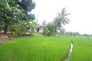 Área da propriedade
