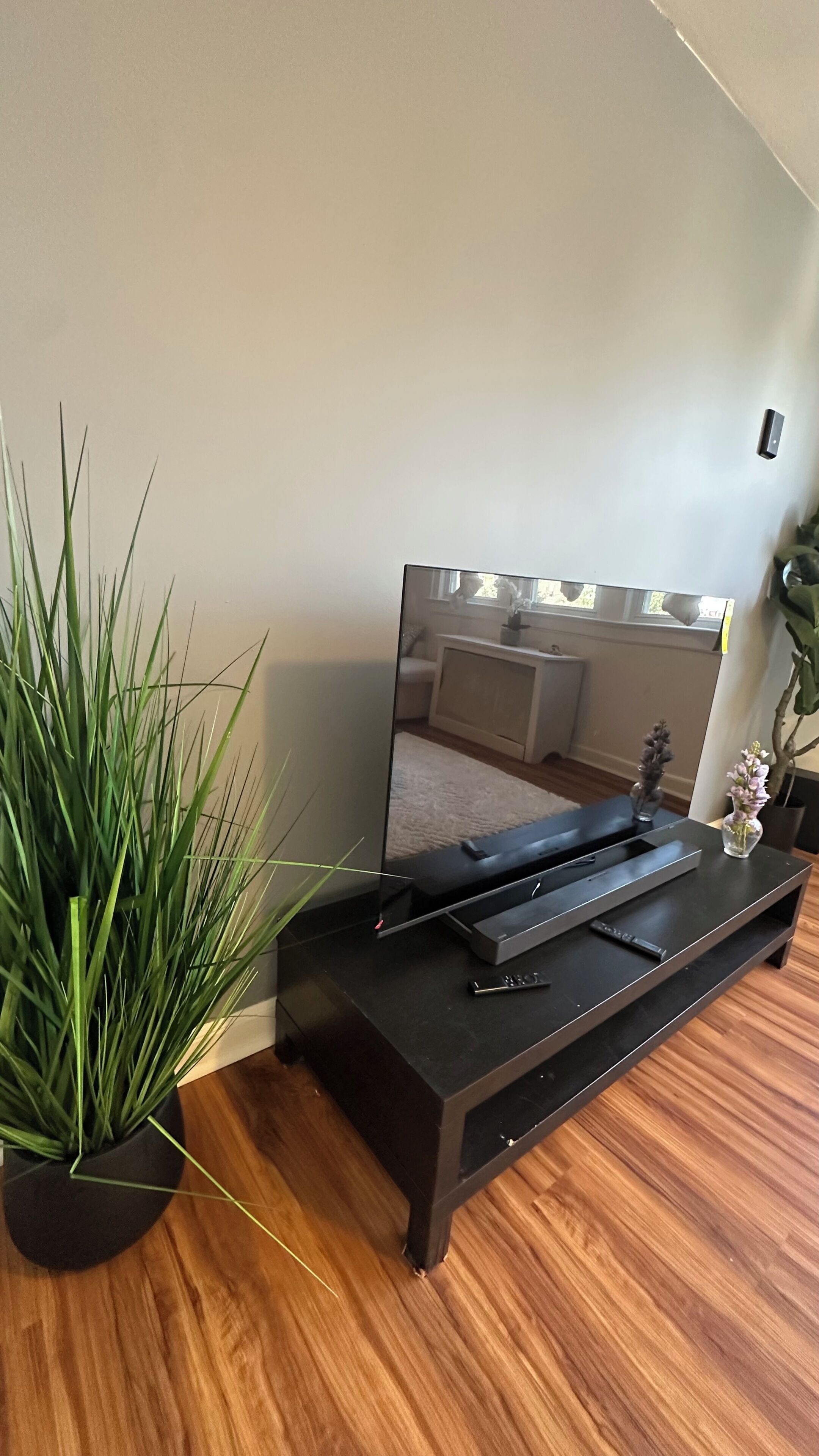 A modern living room with a flat-screen TV on a black stand, a potted plant, and a wooden floor.