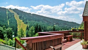 Eine Holzterrasse mit Bänken mit Blick auf einen bewaldeten Berg.