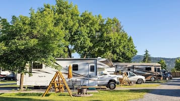 A campsite with RVs, trees, and a clear sky.