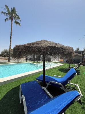 A poolside area with lounge chairs and a palm tree.