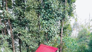 Una cabaña pequeña de un piso con techo rojo, rodeada de un bosque frondoso.