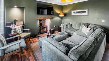 TV, fireplace