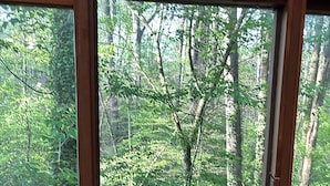 Una mesa de comedor con un cuenco de madera, una silla y vistas a un bosque a través de amplios ventanales.