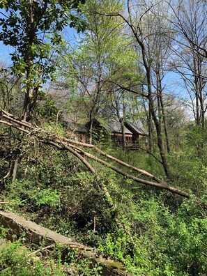 A rustic cabin surrounded by dense forest with a stone wall in the foreground. - La Cabaña - 3/2 - Secluded Woodland Retreat in Decatur – Minutes from Atlanta (Decatur)
