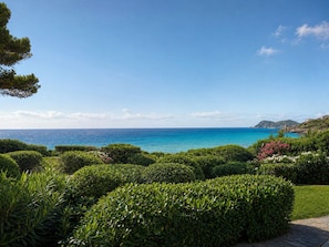 Eine Küstenlandschaft mit freiem Blick auf das Meer, ordentlich gestutzten Hecken und einer entfernten Hügelkette.