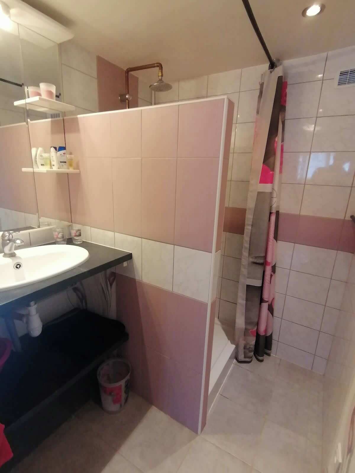 Regadera y shampoo 