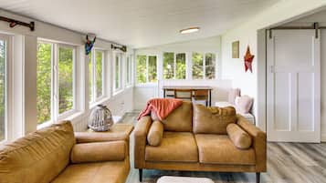 TV, fireplace, books