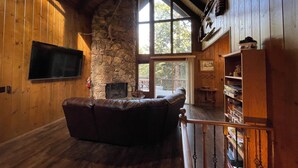 Ein gemütliches Zimmer mit einem Kamin aus Stein, Holzwänden, einem Ledersofa, einem Fernseher und einem Bücherregal.