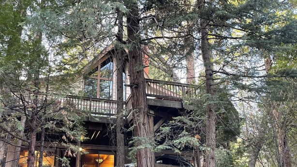 Ein Baumhaus mit Balkon, umgeben von Wald.