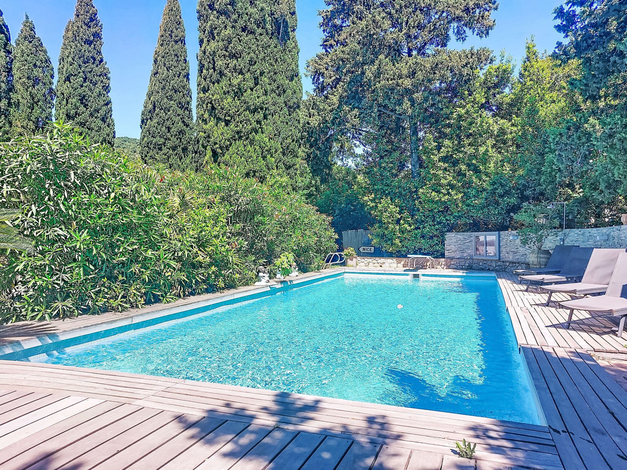 Una piscina rectangular con un deck de madera alrededor, rodeada de follaje denso y árboles altos.