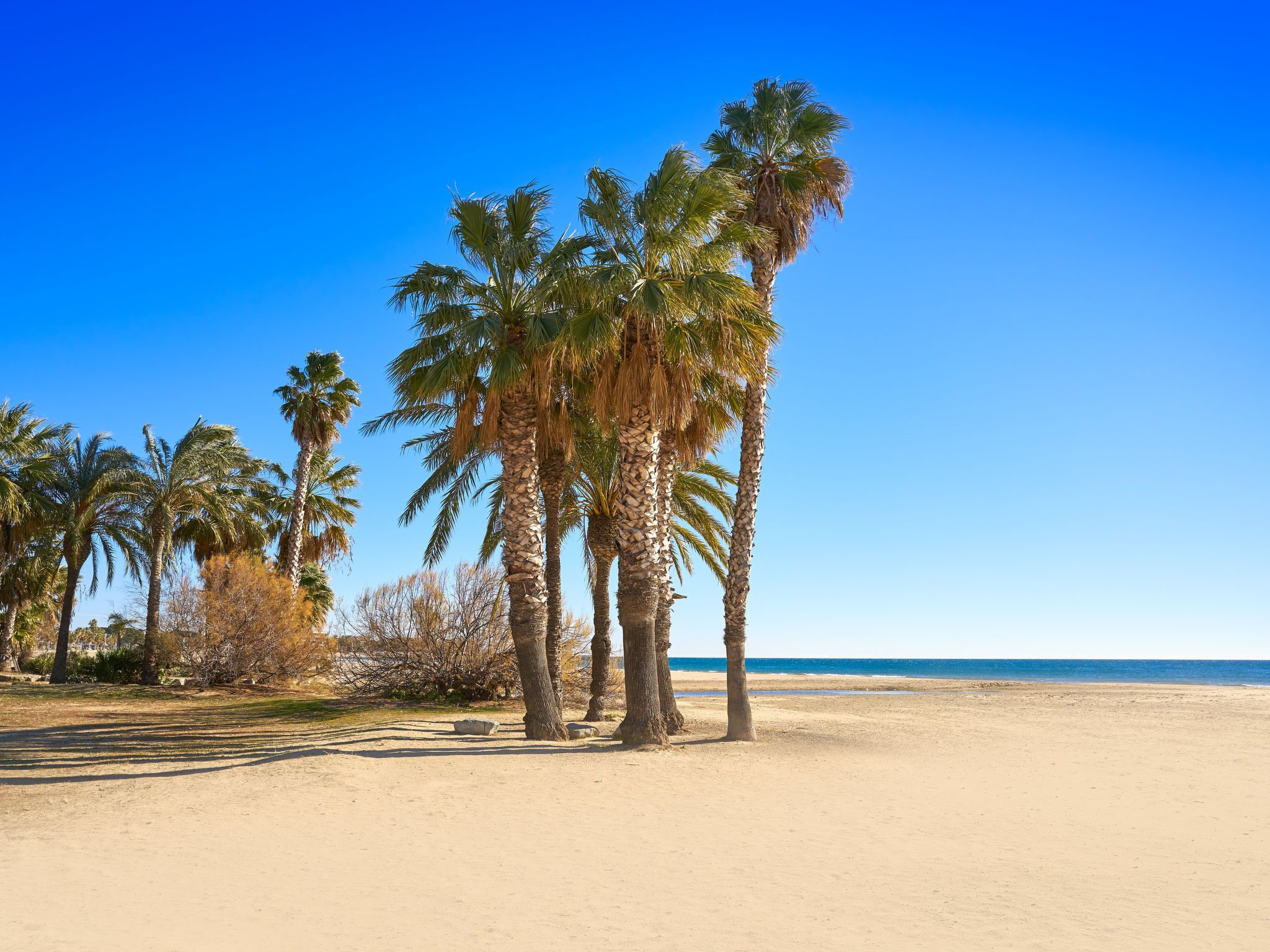 Plage à proximité