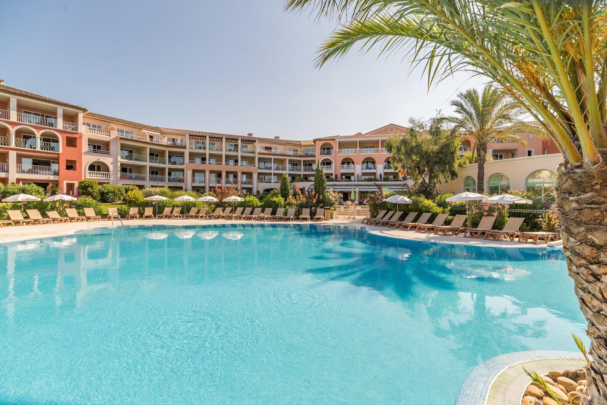 A hotel with a large pool, sun loungers, and a palm tree.