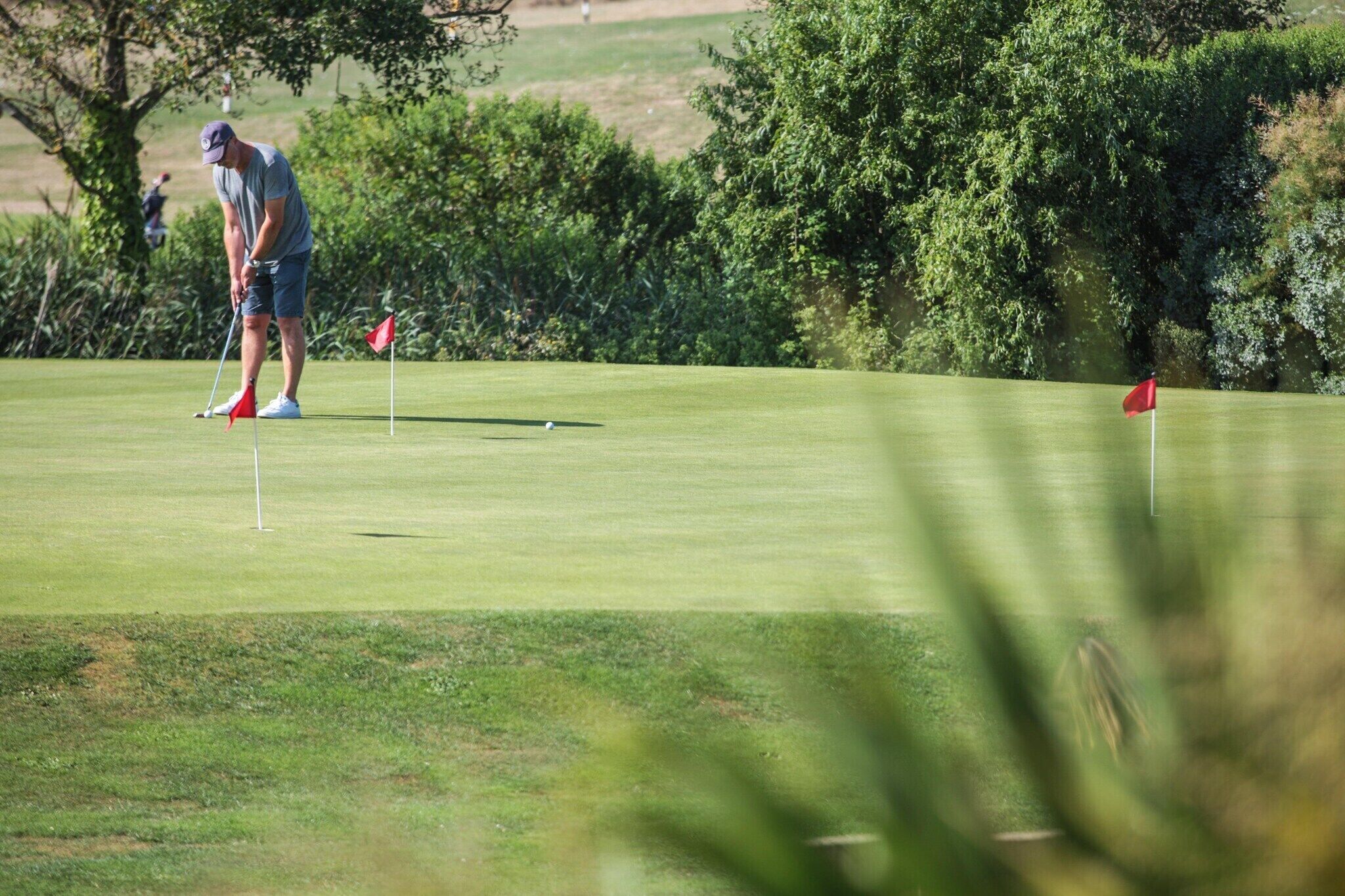 A golf course with a putting green, trees, and flags.