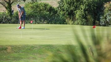 Un campo de golf con un putting green, árboles y banderas.