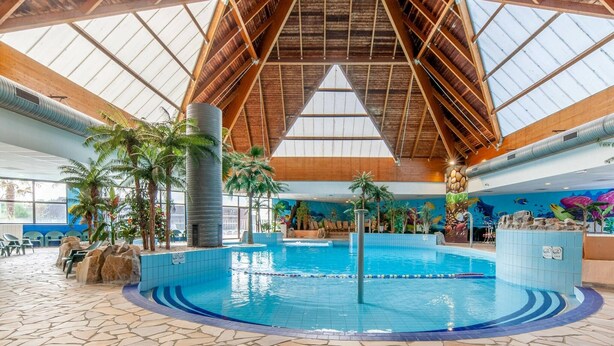 Uma piscina interna com piso de pedra, vigas de madeira e plantas tropicais.