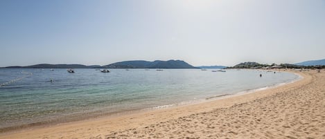 ビーチ