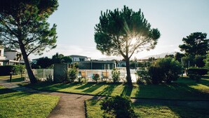 Un quartier résidentiel avec une pelouse bien entretenue, un chemin et un arbre dont les feuilles laissent filtrer la lumière du soleil.