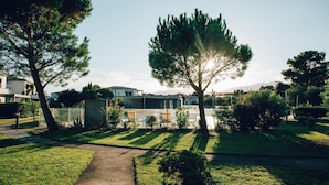 A residential area with a well-maintained lawn, a pathway, and a tree with sunlight filtering through its leaves. - Lecci Apartment with Outdoor Pool (Porto-Vecchio)